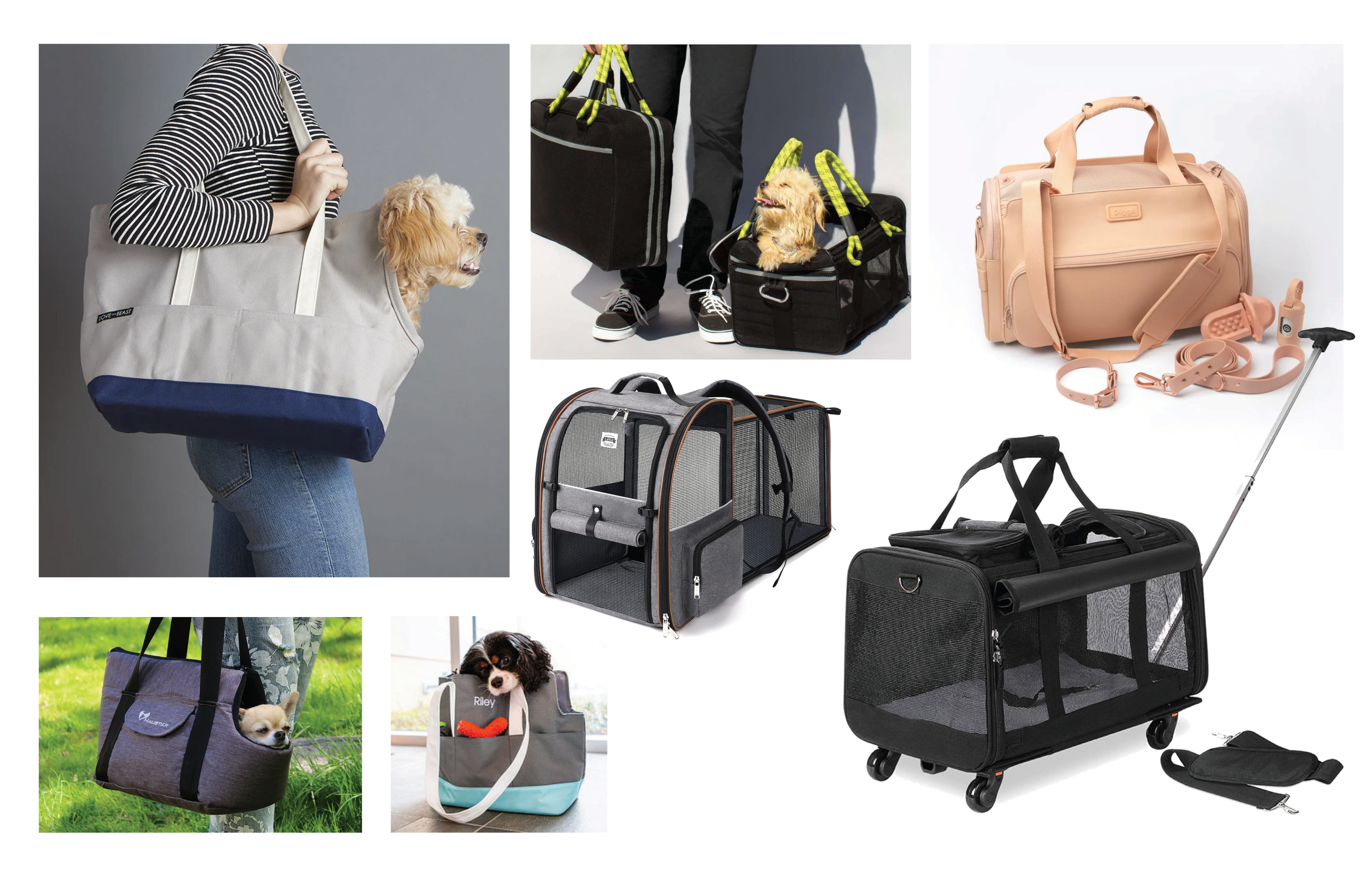 Current dog carrier market research
