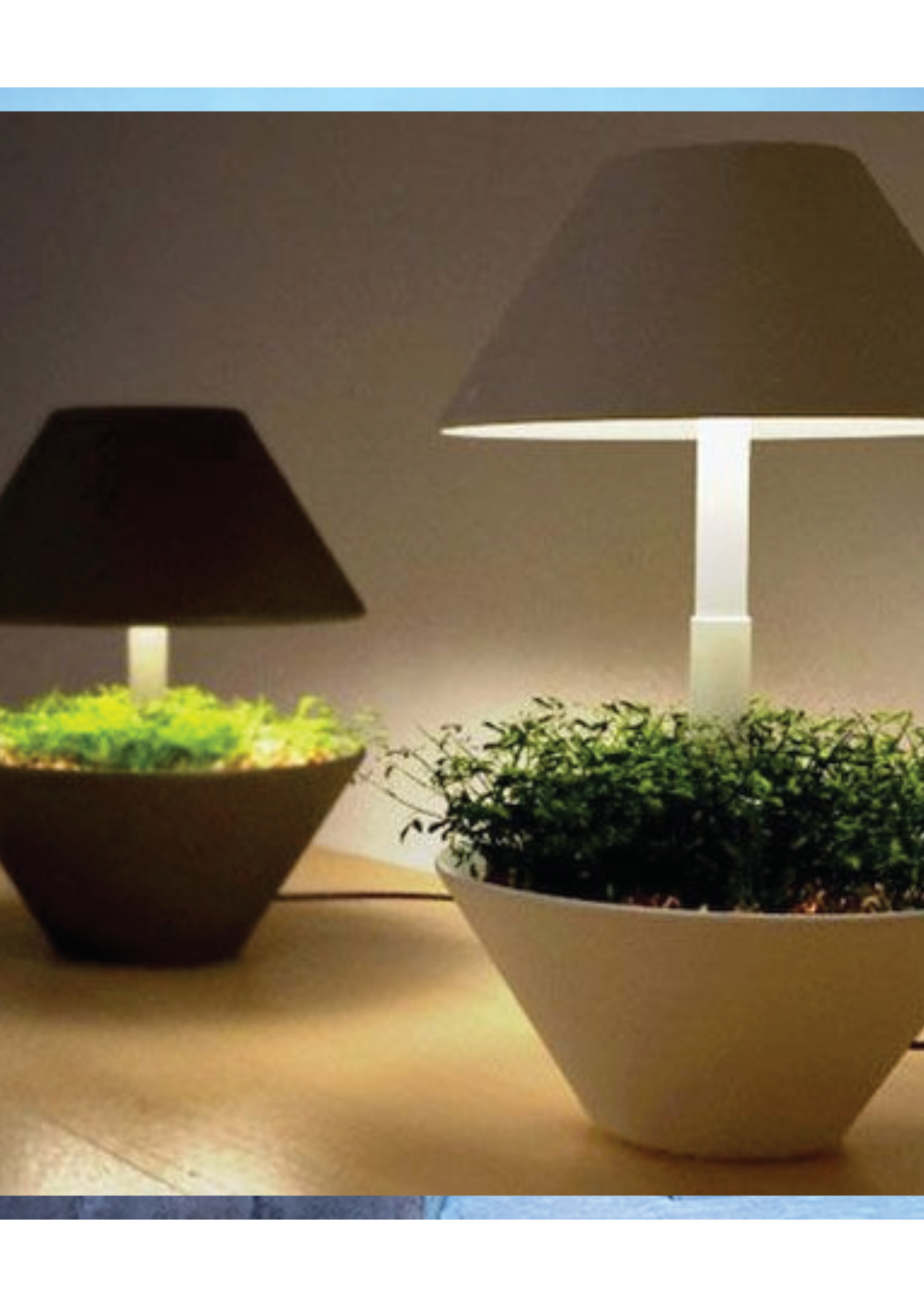 Planter light