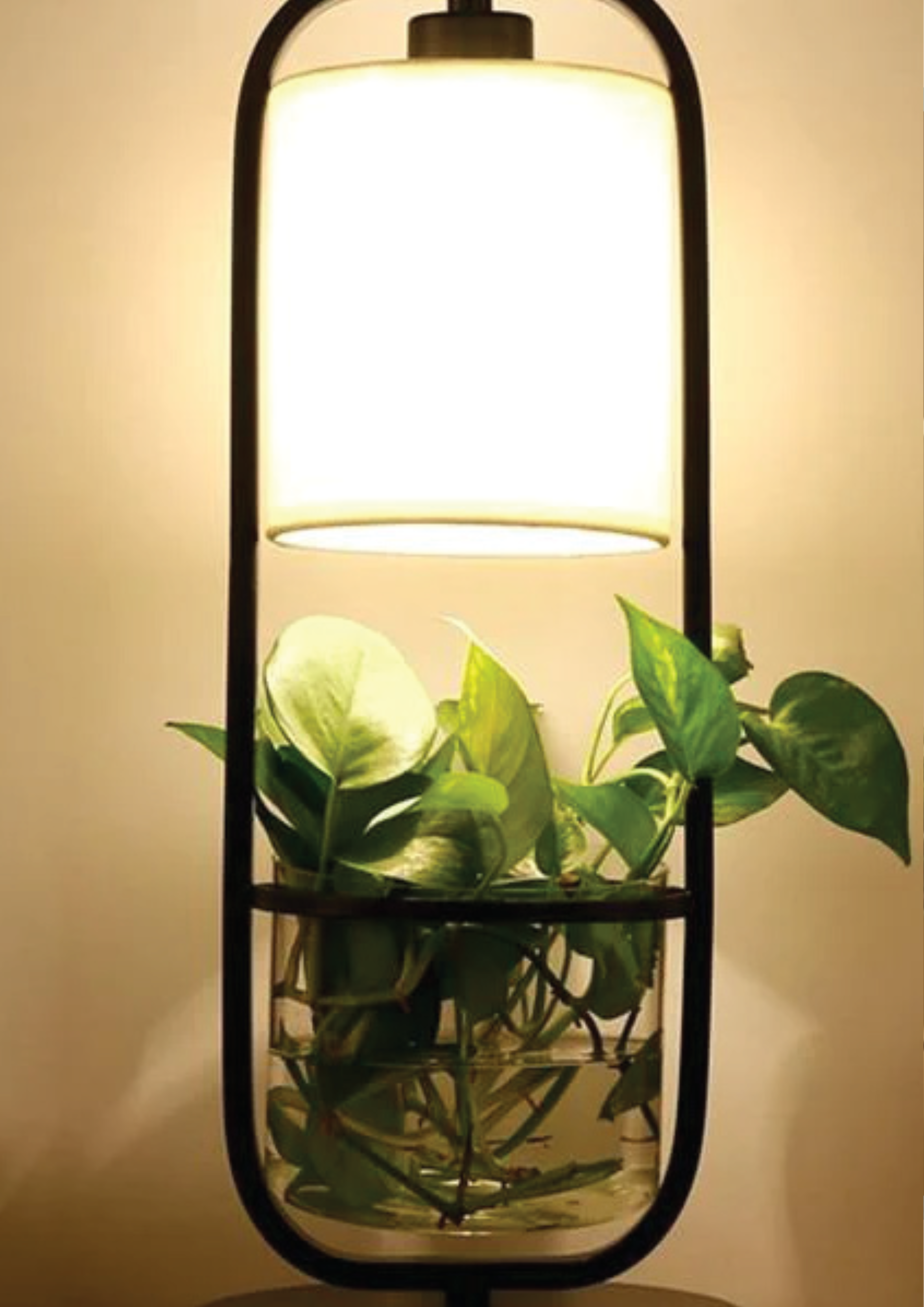 Larger planter light