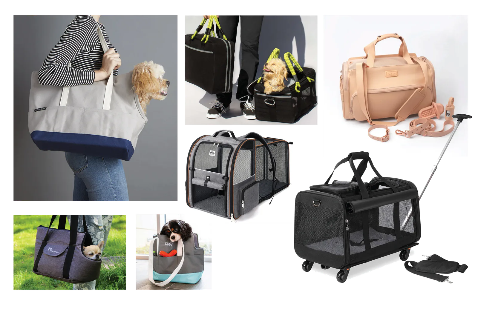 Current dog carrier market research