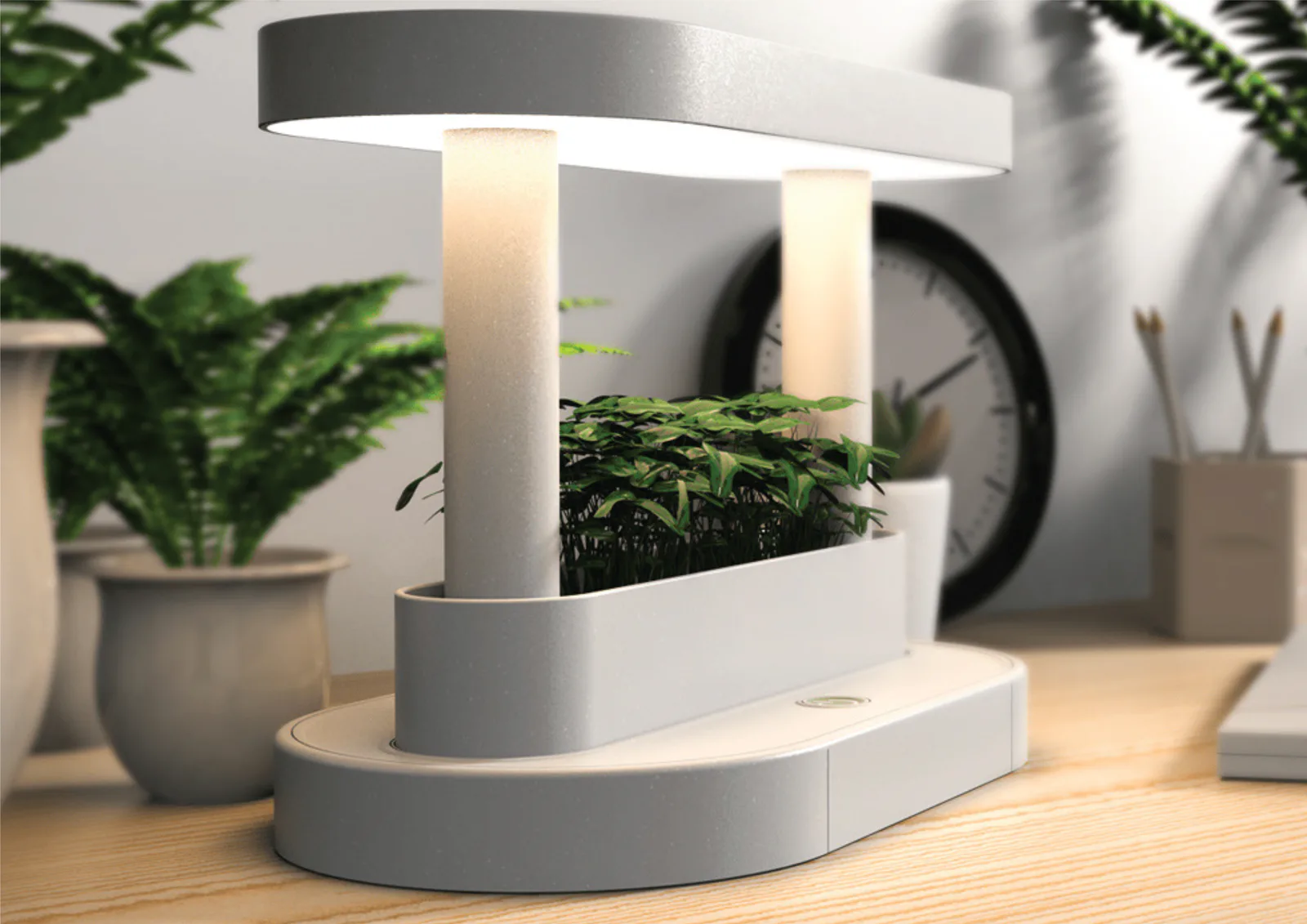 Planter Light